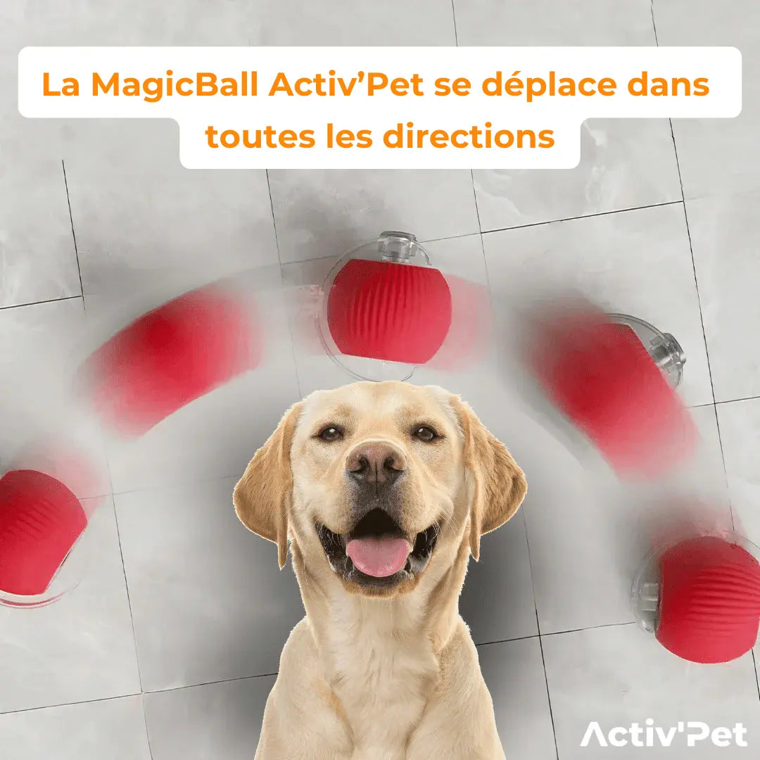 NOVA™ MagicBall — Interaktiv Hundboll