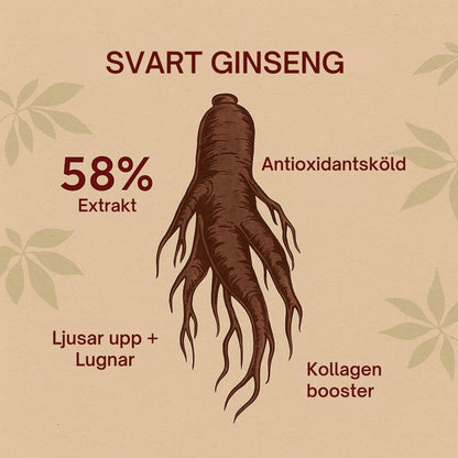 Butiknova – Serum: Retinal Liposom 2% + Svart Ginseng
