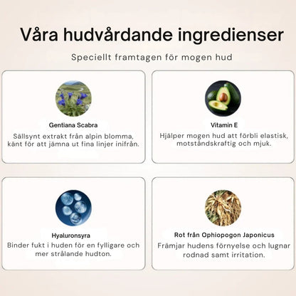 4-i-1-foundation