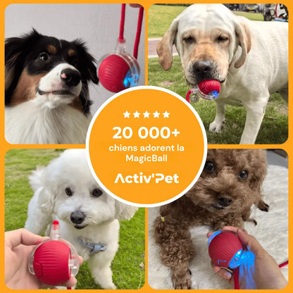 NOVA™ MagicBall — Interaktiv Hundboll