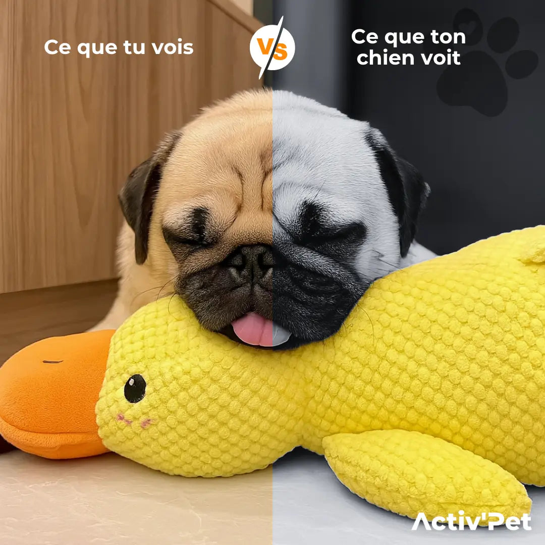 NOVA™ Anti-Stress Anka — Lugnande Plyschleksak för Hund