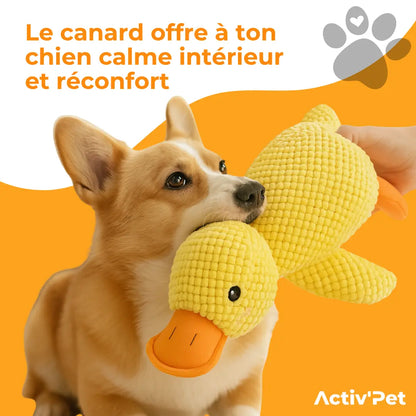 NOVA™ Anti-Stress Anka — Lugnande Plyschleksak för Hund