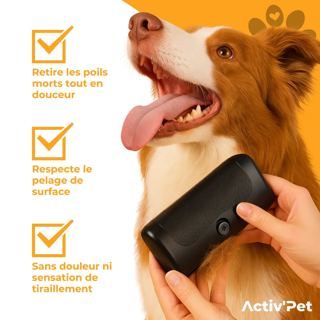 NOVA™ Pälsborste — Effektiv Hårborttagning för Hund &amp; Katt