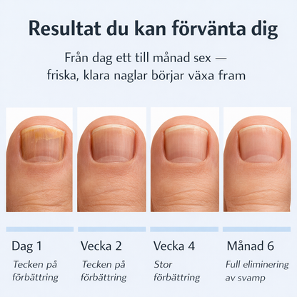 6-månaders resultattidslinje
