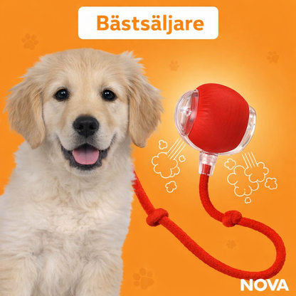 NOVA™ MagicBall — Interaktiv Hundboll