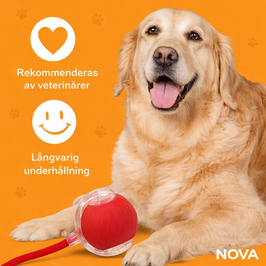 NOVA™ MagicBall — Interaktiv Hundboll